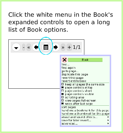 BooksExpandedControls, page 3. Click the white menu in the Book's expanded controls to open a long list of Book options.  