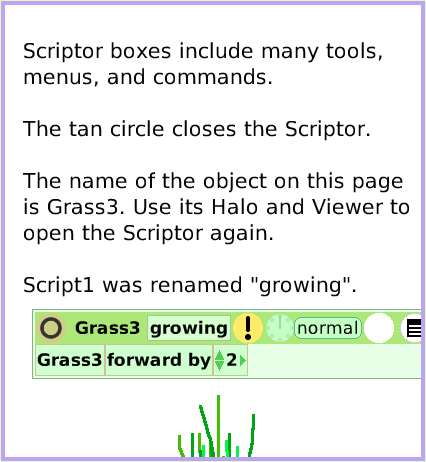 MenuScriptorIconsSet, page 2. Scriptor boxes include many tools, menus, and commands.The tan circle closes the Scriptor.The name of the object on this page is Grass3. Use its Halo and Viewer to open the Scriptor again.Script1 was renamed 