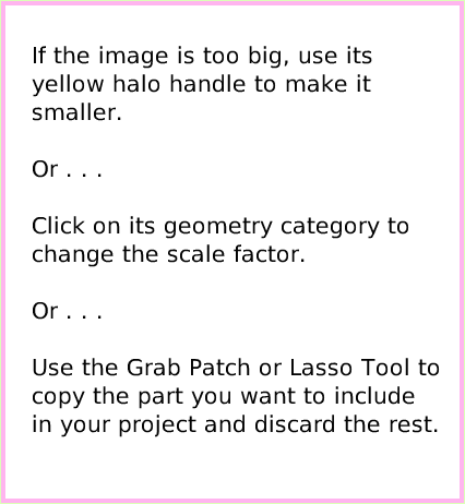 ObjectCatDigitalImages, page 3. If the image is too big, use its yellow halo handle to make it smaller.Or . . . Click on its geometry category to change the scale factor.Or . . .Use the Grab Patch or Lasso Tool to copy the part you want to include in your project and discard the rest.  