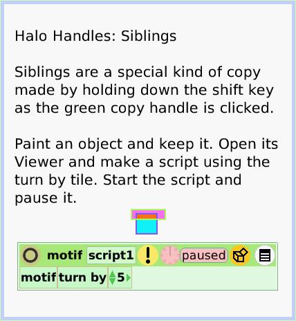 HaloSiblings, page 1. Halo Handles: Siblings

Siblings are a special kind of copy made by holding down the shift key as the green copy handle is clicked.

Paint an object and keep it. Open its Viewer and make a script using the turn by tile. Start the script and pause it.  