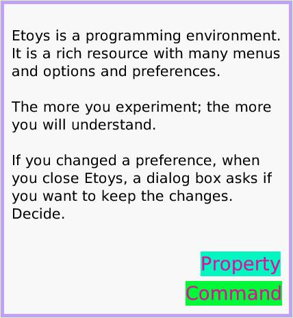MenuEtoysVocabulary, page 4. Etoys is a programming environment. It is a rich resource with many menus and options and preferences.

The more you experiment; the more you will understand.

If you changed a preference, when you close Etoys, a dialog box asks if you want to keep the changes. Decide.  Property.  Command.  