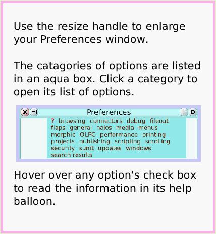 ObjectCatPreferences, page 3. Hover over any option's check box to read the information in its help balloon.  Use the resize handle to enlarge your Preferences window.

The catagories of options are listed in an aqua box. Click a category to open its list of options.  